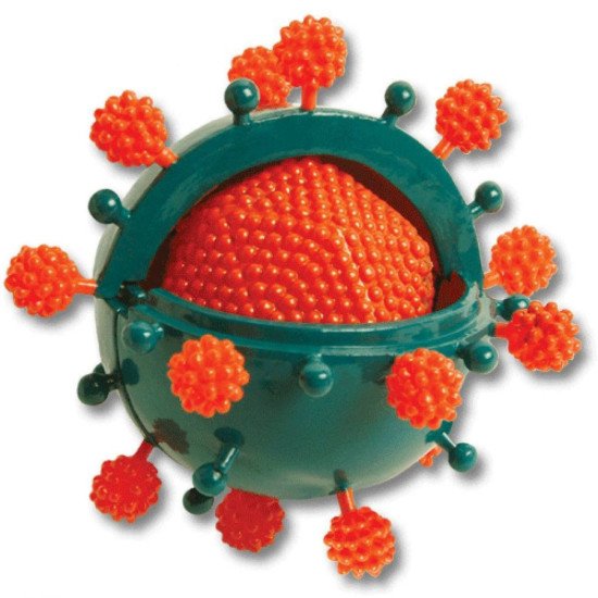 Біологічні моделі "Вірус", COG