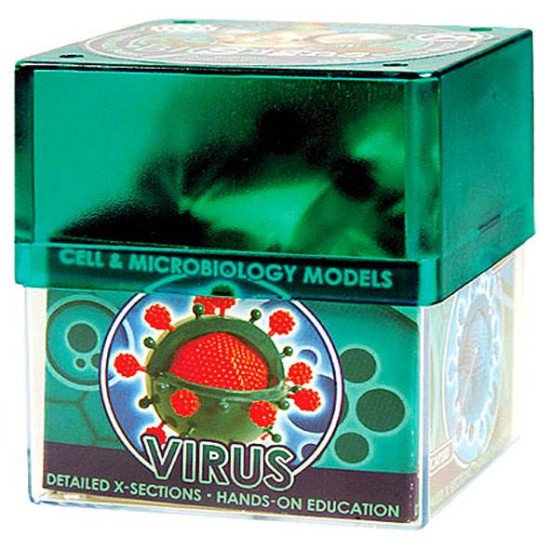 Біологічні моделі "Вірус", COG