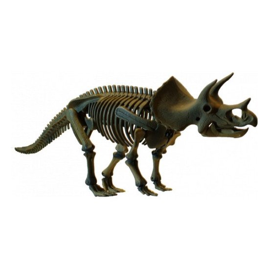 Великий скелет динозавра - Тріцератопс, COG