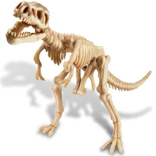 Набір для розкопок Скелет тиранозавра, 4M