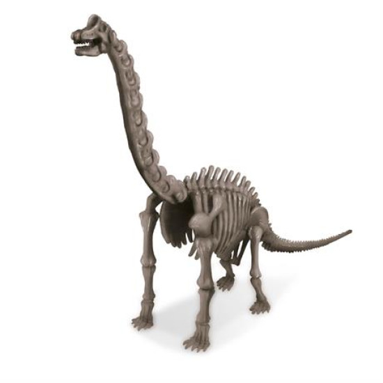 Набір для розкопок Скелет брахіозавра, 4M