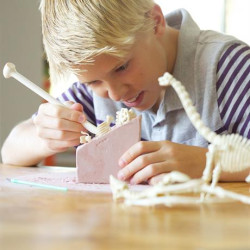 Набір для розкопок Скелет брахіозавра, 4M