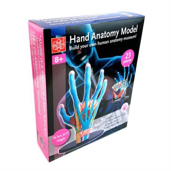 Модель руки збірна 16,5 см, Edu-Toys