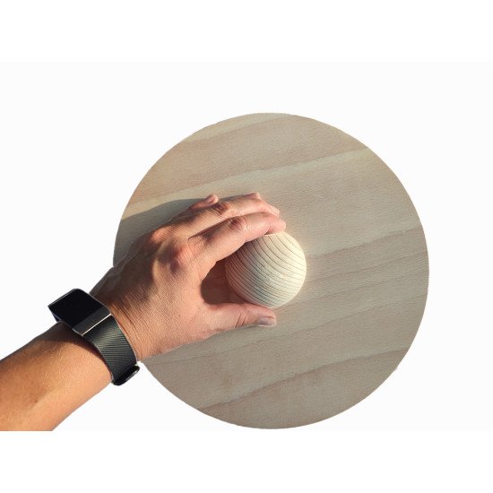 Тренажер - Балансувальний диск "Для зміцнення корпусу" з методичним посібником, HEGA Тренажер - Балансувальний диск "Для зміцнення корпусу" з методичним посібником, HEGA