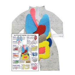 Модель-фартух Внутрішня будова тіла людини з плакатом-вказівкою, HEGA
