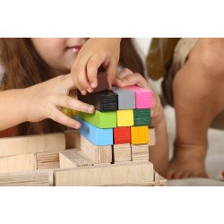 Конструктор Інклюзія, HEGA