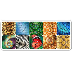 Магнітний сортер-цифри  із Акрила, ТМ "Ань-Янь" Магнітний сортер-цифри  із Акрила, ТМ "Ань-Янь"