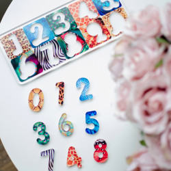 Магнітний сортер-цифри  із Акрила, ТМ "Ань-Янь" Магнітний сортер-цифри  із Акрила, ТМ "Ань-Янь"