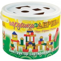 Дерев'яний Конструктор-сортирувальник (50 деталей), МДИ