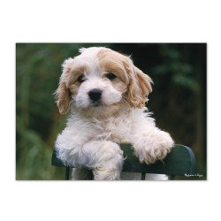 Картонний пазл "Цуценята", 30 ел., Melissa&Doug