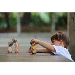 Деревянные Cложенные камни, ТМ PLAN TOYS
