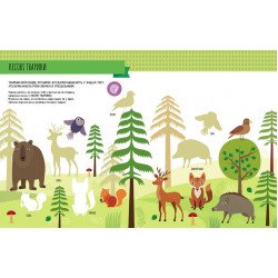 Монтессорі: світ досягнень. Моя перша книга з фантастичними наліпками. У лісі (Укр), Кенгуру Монтессорі: світ досягнень. Моя перша книга з фантастичними наліпками. У лісі (Укр), Кенгуру