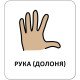 Картки з піктограмами. Гігієна. Моє тіло, Кенгуру Картки з піктограмами. Гігієна. Моє тіло, Кенгуру