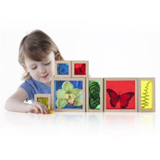 Набір Natural Play Скарби у кольорових ящиках, Guidecraft