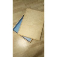 Кришка для терапевтичної пісочниці 70*50*8 см