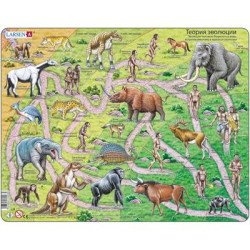 Пазл рамка-вкладиш Теория еволюції, Larsen Пазл рамка-вкладиш Теория еволюції, Larsen