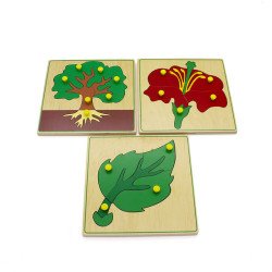 Комодик з пазлами (3 дошки, ботаніка), Монтессорі 