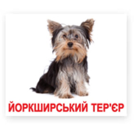 Карточки Домана «Породи собак» великі з фактами (укр.мов), Вундеркінд з пелюшок
