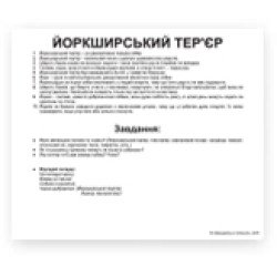 Карточки Домана «Породи собак» великі з фактами (укр.мов), Вундеркінд з пелюшок Карточки Домана «Породи собак» великі з фактами (укр.мов), Вундеркінд з пелюшок