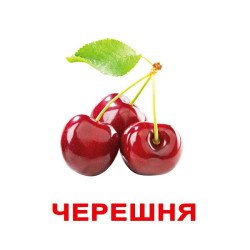 Картки Домана "Ягоди" великі з фактами (рос.мов.), Вундеркінд з пелюшок Картки Домана "Ягоди" великі з фактами (рос.мов.), Вундеркінд з пелюшок
