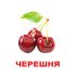 Картки Домана "Ягоди" великі з фактами (рос.мов.), Вундеркінд з пелюшок
