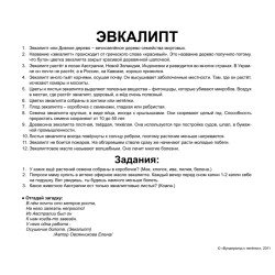Картки Домана "Дерева" великі з фактами (рос.мов.), Вундеркінд з пелюшок Картки Домана "Дерева" великі з фактами (рос.мов.), Вундеркінд з пелюшок