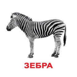 Картки Домана "Дикі тварини" великі з фактами (рос.мов.), Вундеркінд з пелюшок Картки Домана "Дикі тварини" великі з фактами (рос.мов.), Вундеркінд з пелюшок