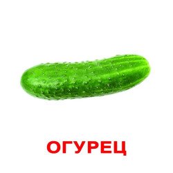 Картки Домана "Овочі" великі з фактами (рос.мов.), Вундеркінд з пелюшок Картки Домана "Овочі" великі з фактами (рос.мов.), Вундеркінд з пелюшок
