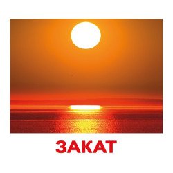 Картки Домана "Природа" великі з фактами (рос.мов.), Вундеркінд з пелюшок Картки Домана "Природа" великі з фактами (рос.мов.), Вундеркінд з пелюшок