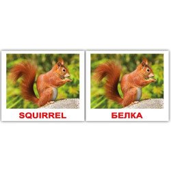 Картки Домана «Wild animals/Дикі жив.» МІНІ 40  (анг/укр.), Вундеркінд з пелюшок Картки Домана «Wild animals/Дикі жив.» МІНІ 40  (анг/укр.), Вундеркінд з пелюшок