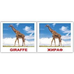 Картки Домана «Wild animals/Дикі жив.» МІНІ 40  (анг/укр.), Вундеркінд з пелюшок Картки Домана «Wild animals/Дикі жив.» МІНІ 40  (анг/укр.), Вундеркінд з пелюшок