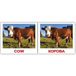 Картки Домана «Domestic animals/Свійські тварини» МІНІ 40 (анг/укр.), Вундеркінд з пелюшок Картки Домана «Domestic animals/Свійські тварини» МІНІ 40 (анг/укр.), Вундеркінд з пелюшок