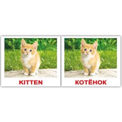 Картки Домана «Domestic animals/Свійські тварини» МІНІ 40 (анг/укр.), Вундеркінд з пелюшок Картки Домана «Domestic animals/Свійські тварини» МІНІ 40 (анг/укр.), Вундеркінд з пелюшок