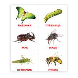 Лото. "Тварини", Вундеркінд з пелюшок Лото. "Тварини", Вундеркінд з пелюшок