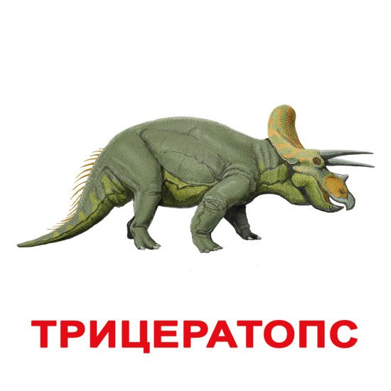 Картки Домана "Динозаври" великі з фактами (укр.мов.), Вундеркінд з пелюшок