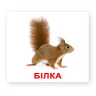 Картки Домана "Мої перші знання" (від 0 до 5 років) великі з фактами (укр. мов.), Вундеркінд з пелюшок