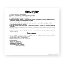 Картки Домана "Овочі" великі з фактами (укр.мов.), Вундеркінд з пелюшок	 Картки Домана "Овочі" великі з фактами (укр.мов.), Вундеркінд з пелюшок