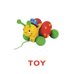 Картки Домана "Перші англійські слова" , Вундеркінд з пелюшок Картки Домана "Перші англійські слова" , Вундеркінд з пелюшок