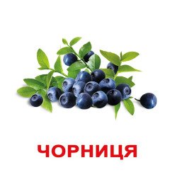 Картки Домана "Ягоди" великі з фактами (укр. мов.), Вундеркінд з пелюшок Картки Домана "Ягоди" великі з фактами (укр. мов.), Вундеркінд з пелюшок