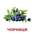 Картки Домана "Ягоди" великі з фактами (укр. мов.), Вундеркінд з пелюшок