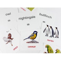 Картки міні Птахи (110х110 мм) (укр)